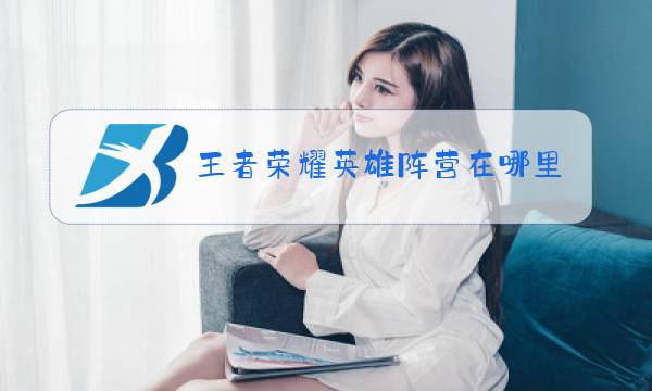 王者荣耀英雄阵营在哪里看图片