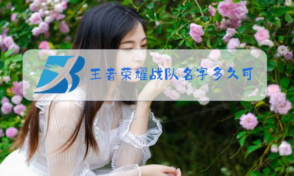 王者荣耀战队名字多久可以改一次图片
