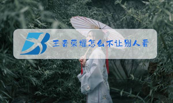 王者荣耀怎么不让别人看战绩图片