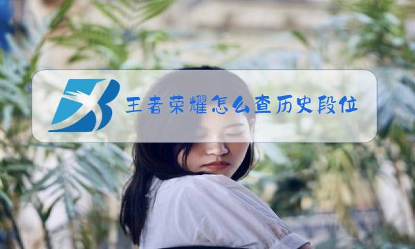 王者荣耀怎么查历史段位图片