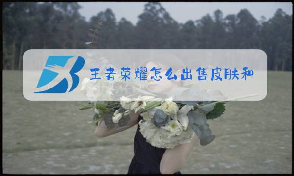 王者荣耀怎么出售皮肤和英雄