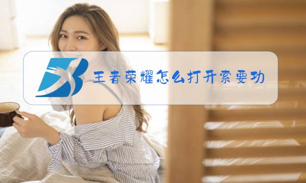 王者荣耀怎么打开索要功能图片