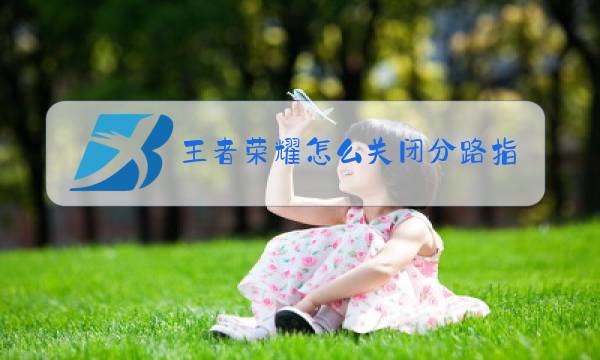 王者荣耀怎么关闭分路指引图片