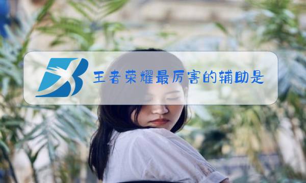 王者荣耀最厉害的辅助是谁图片