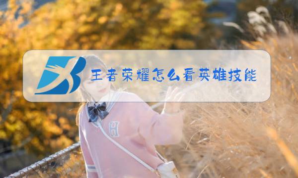 王者荣耀怎么看英雄技能特效图片