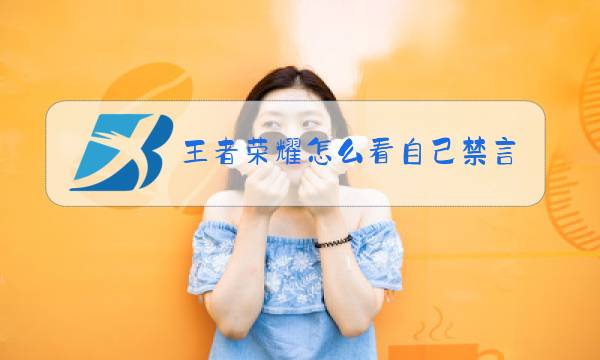 王者荣耀怎么看自己禁言多久图片
