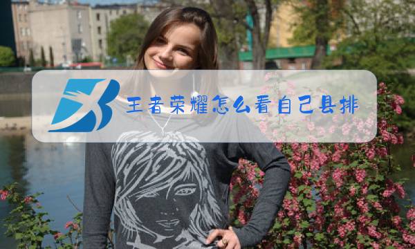 王者荣耀怎么看自己县排名图片