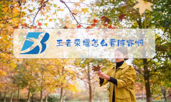 王者荣耀怎么看阵容啊图片