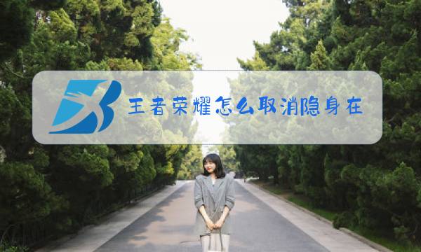 王者荣耀怎么取消隐身在线