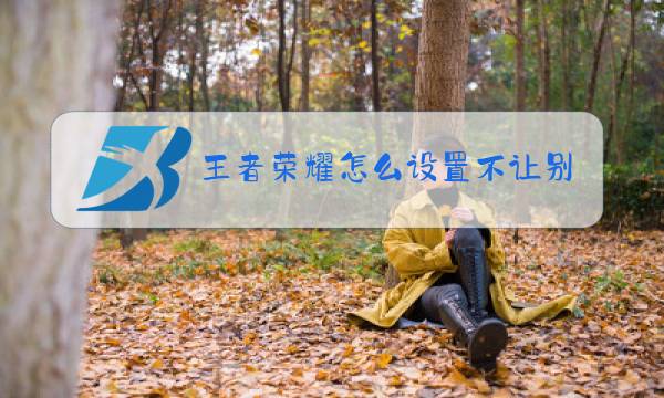 王者荣耀怎么设置不让别人看常用英雄