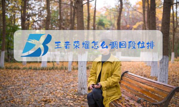 王者荣耀怎么调回段位排名
