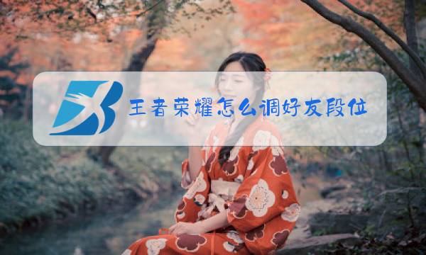 王者荣耀怎么调好友段位排名图片