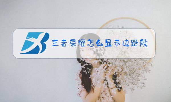 王者荣耀怎么显示边路段图片