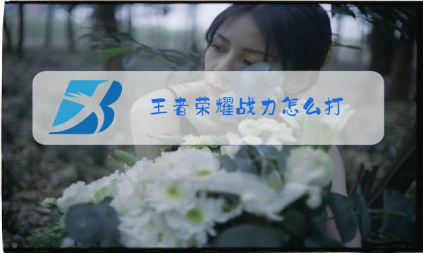 王者荣耀战力怎么打图片