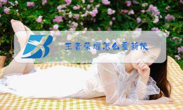 王者荣耀怎么重新使图片