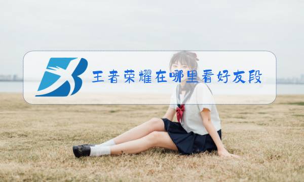 王者荣耀在哪里看好友段位图片
