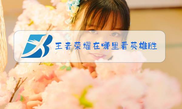 王者荣耀在哪里看英雄胜率排行榜