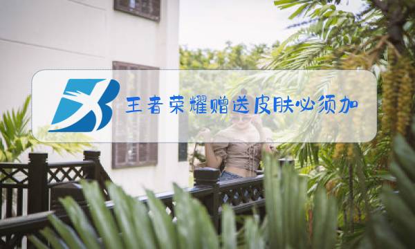 王者荣耀赠送皮肤必须加好友吗图片