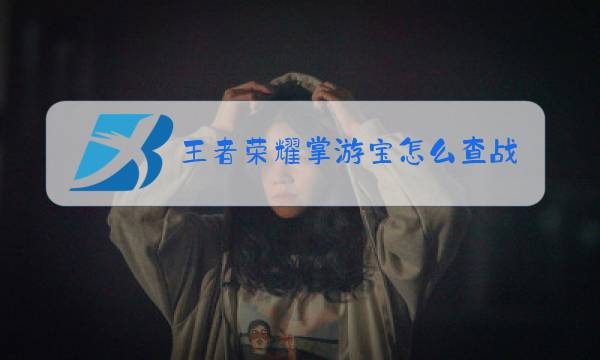 王者荣耀掌游宝怎么查战绩