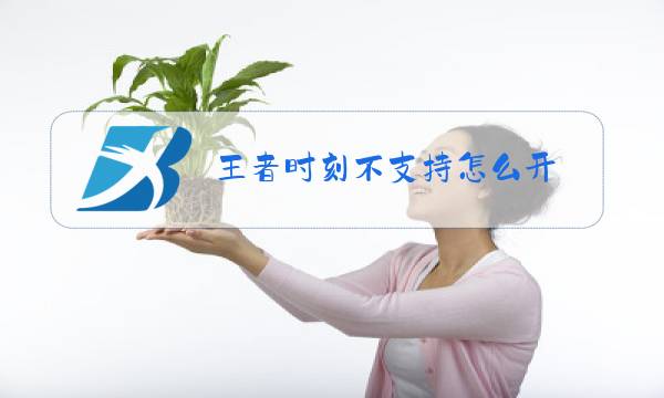 王者时刻不支持怎么开图片