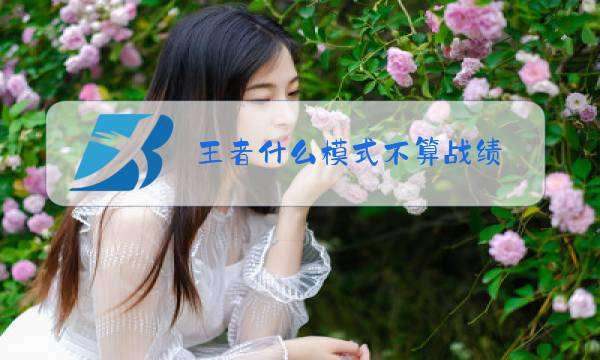 王者什么模式不算战绩图片