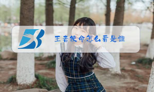 王者使命怎么看是谁