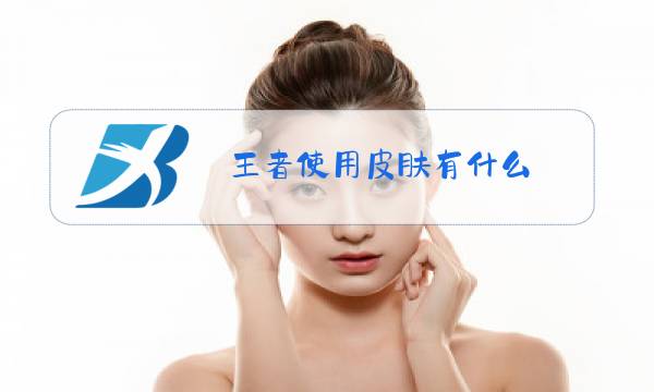 王者使用皮肤有什么图片