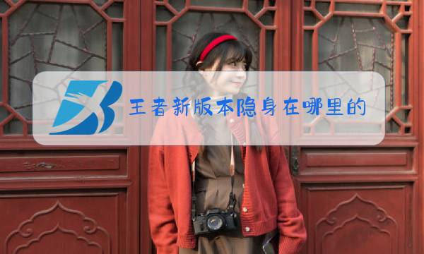 王者新版本隐身在哪里的图片
