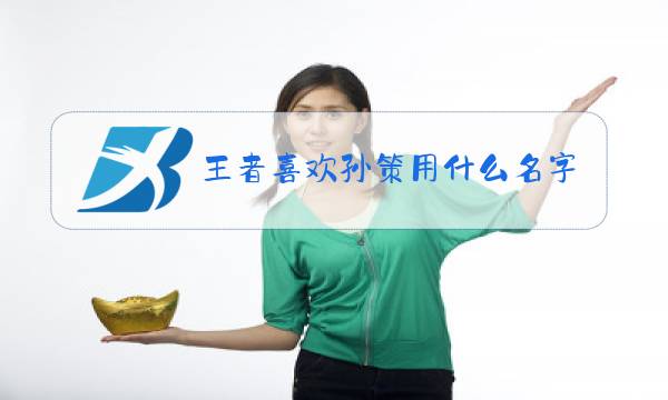 王者喜欢孙策用什么名字图片