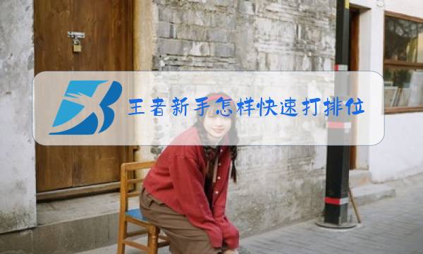 王者新手怎样快速打排位