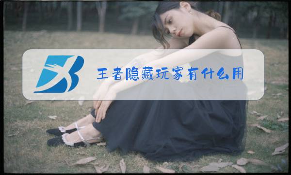 王者隐藏玩家有什么用图片