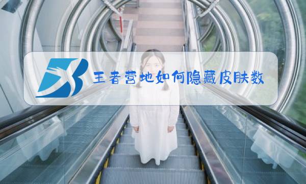 王者营地如何隐藏皮肤数量图片