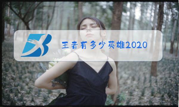 王者有多少英雄2020年11月图片
