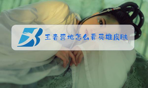 王者营地怎么看英雄皮肤的语音图片
