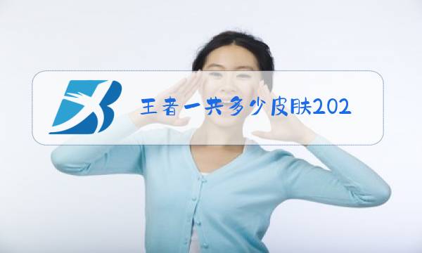 王者一共多少皮肤2020图片