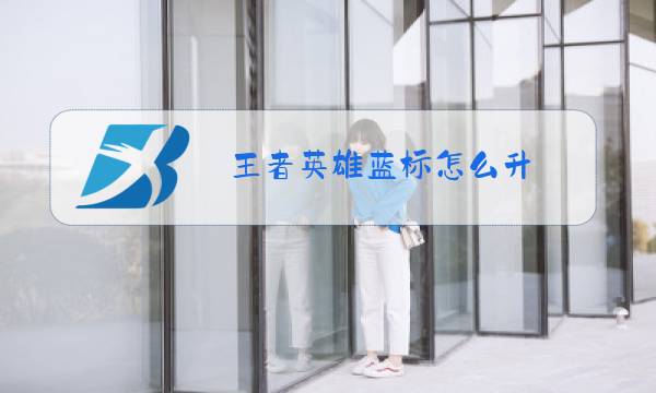 王者英雄蓝标怎么升图片