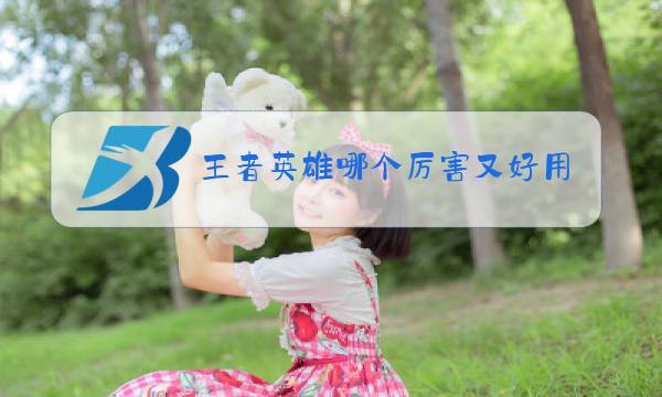 王者英雄哪个厉害又好用好上手的图片