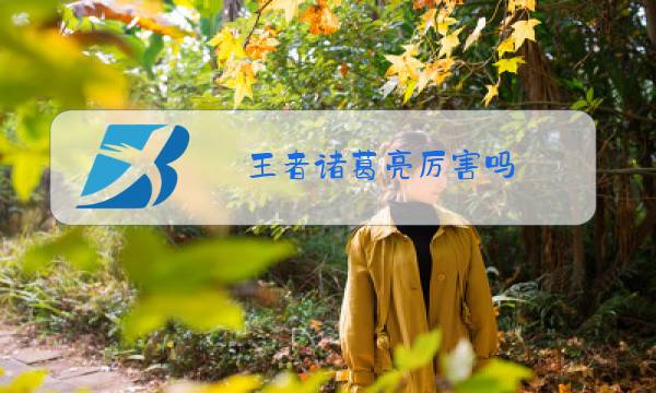 王者诸葛亮厉害吗图片
