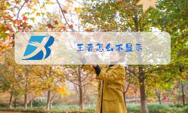 王者怎么不显示图片