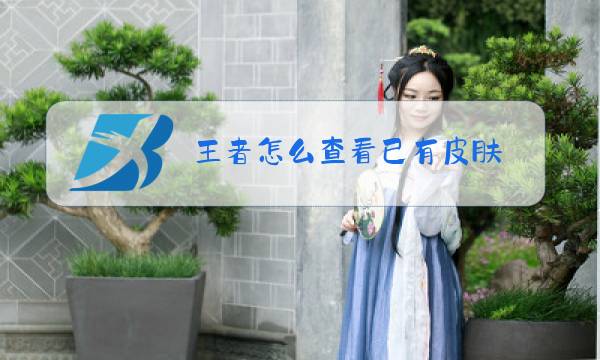 王者怎么查看已有皮肤图片