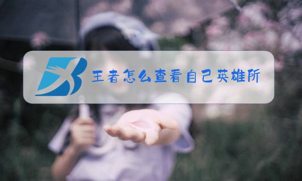 王者怎么查看自己英雄所到的最高战力图片