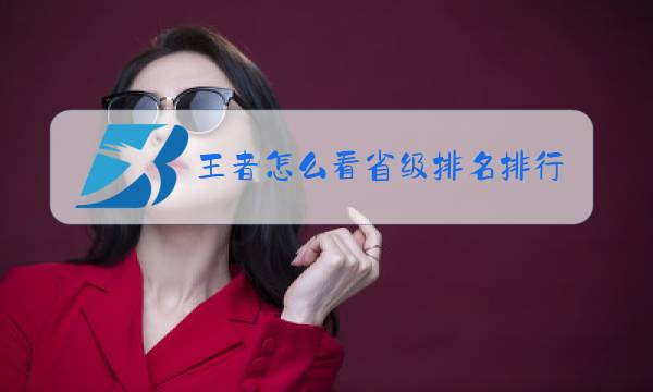 王者怎么看省级排名排行榜图片