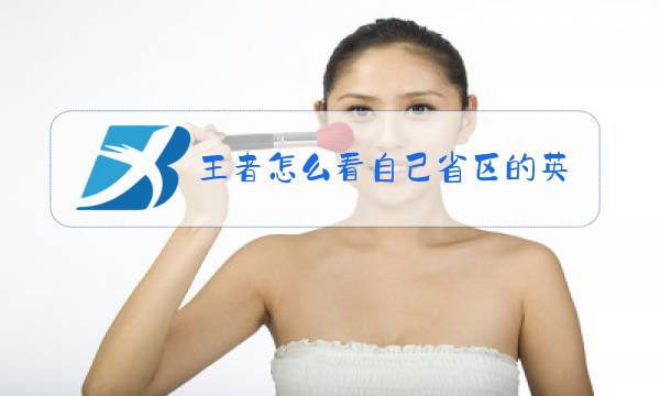 王者怎么看自己省区的英雄排名图片