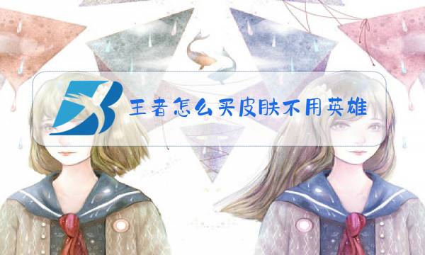 王者怎么买皮肤不用英雄图片