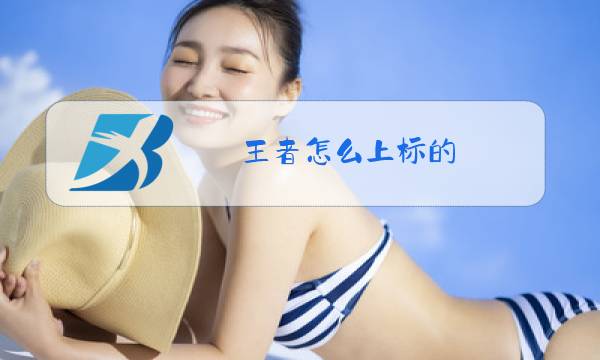 王者怎么上标的