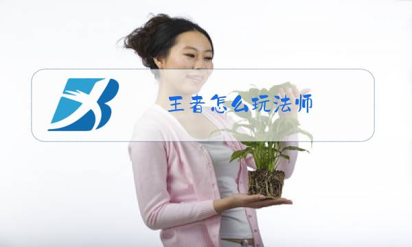 王者怎么玩法师图片