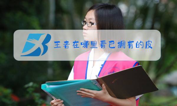 王者在哪里看已拥有的皮肤图片
