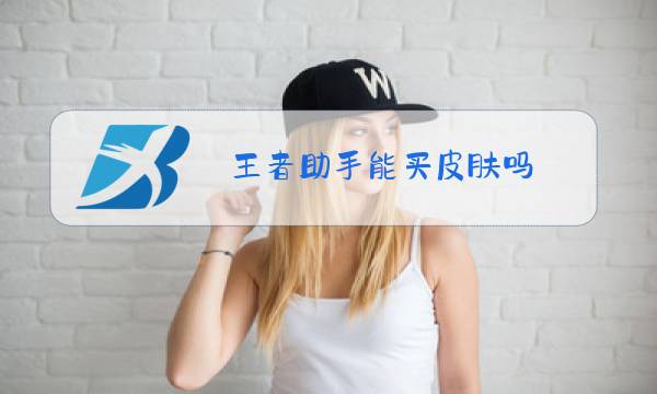王者助手能买皮肤吗