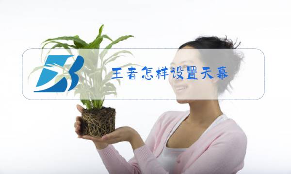 王者怎样设置天幕图片