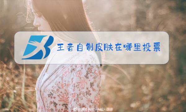 王者自制皮肤在哪里投票图片